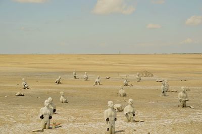 Flock of sheep on field against sky