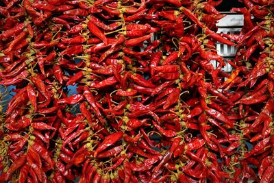 Full frame shot of red chili peppers for sale