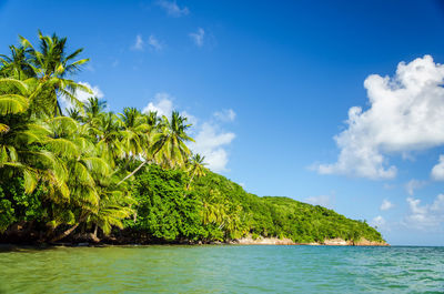 Scenic view of sea against blue sky