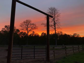 Trees on field against sky during sunset