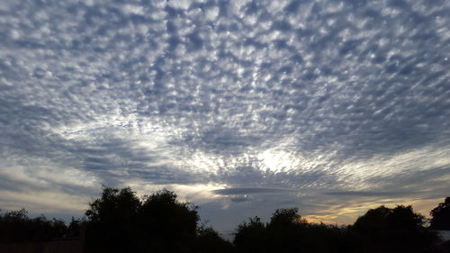 Low angle view of silhouette trees against sky