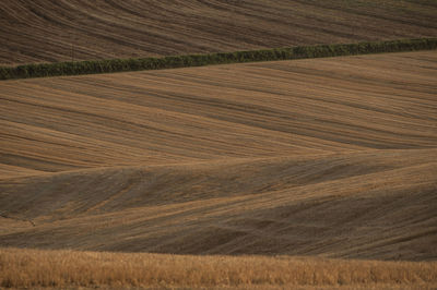 High angle view of field