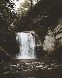 Scenic view of waterfall in forest