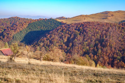 Scenic view of field against sky during autumn