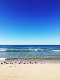 Scenic view of beach against blue sky