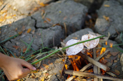 Cropped hand of person preparing food on bonfire