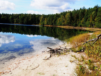 Scenic view of lake in forest against sky