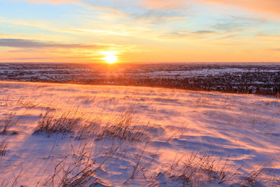 Wind-swept snowy. landscape at dawn