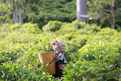 View of person in basket on grassy field