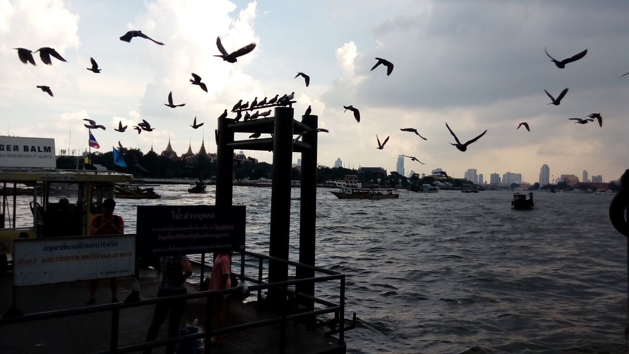 FLOCK OF SEAGULLS FLYING OVER SEA AGAINST SKY