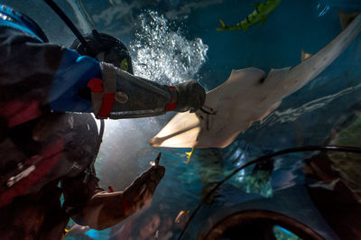 Low angle view of man feeding shark in aquarium