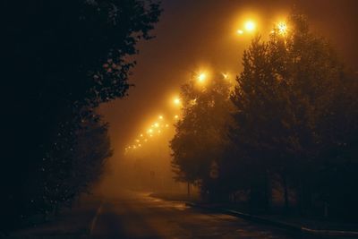 Silhouette trees by illuminated street against sky at night