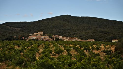 Houses on field by mountains against sky