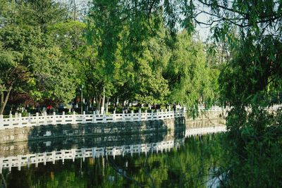 Scenic view of lake by trees against sky