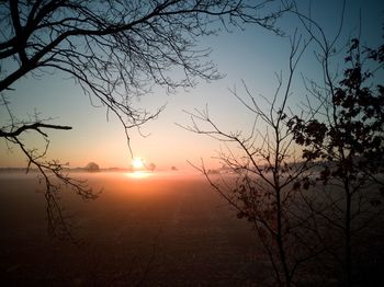 Silhouette trees against sky during sunset