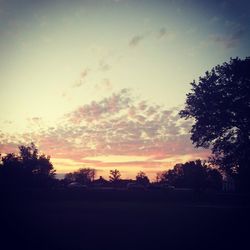 Silhouette of trees at sunset