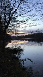 Bare tree by lake against sky during winter