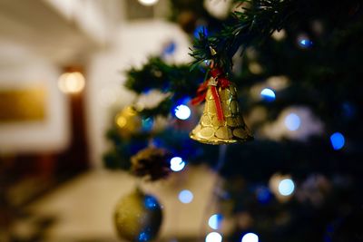 Close-up of illuminated christmas tree