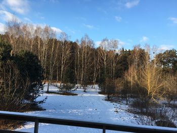 Trees on frozen lake against sky during winter