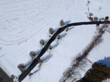 Low angle view of snow covered trees against sky