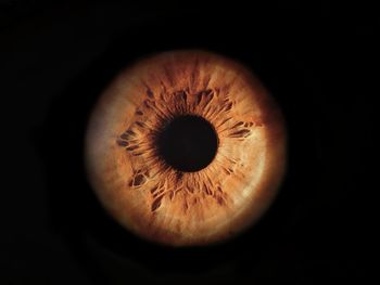 Macro shot of human eye over black background