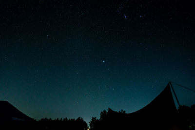 Low angle view of silhouette trees against sky at night