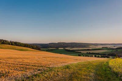 Scenic view of agricultural field against clear sky