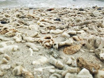 Close-up of pebbles on beach
