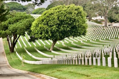 View of cemetery in park