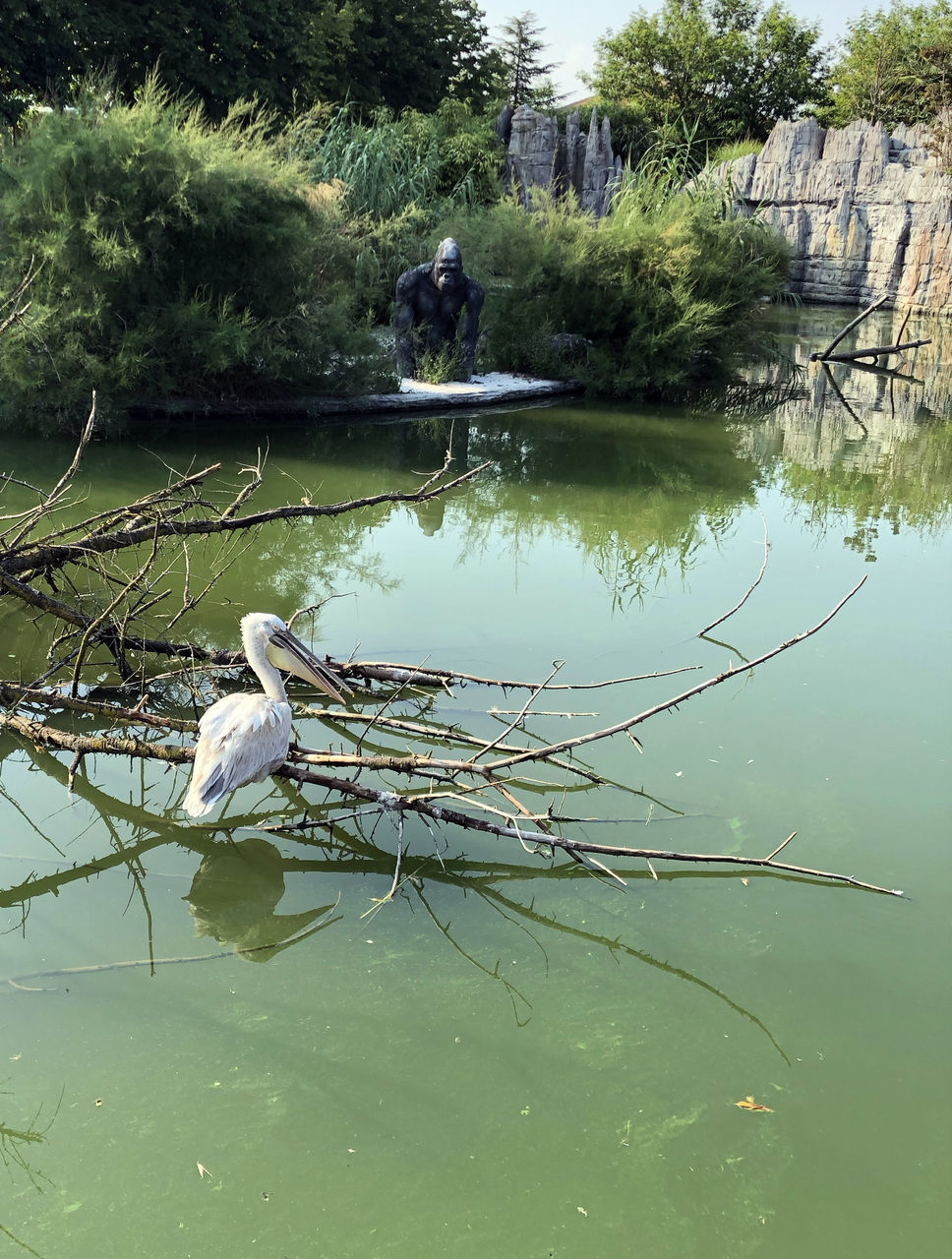 BIRDS PERCHING ON A LAKE