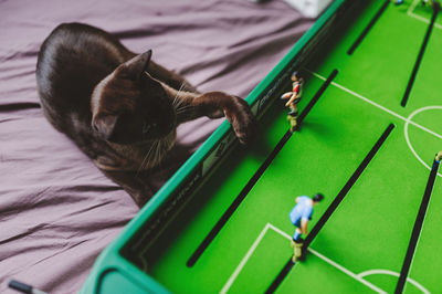 Close-up of a cat playing table football 