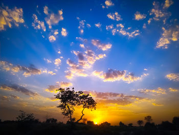 Low angle view of silhouette trees against sky during sunset