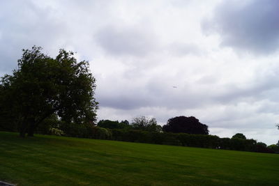 Trees on field against sky