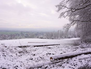 Snow covered trees against sky