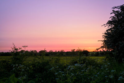 Scenic view of field against sky during sunset