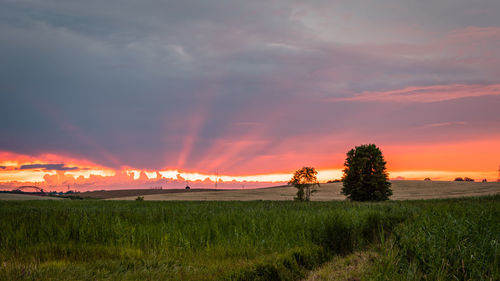 Scenic view of field against sky during sunset