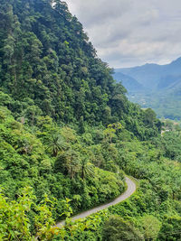 Scenic view of tree mountains against sky