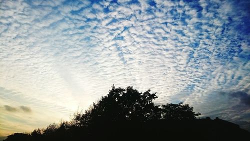 Low angle view of trees against cloudy sky