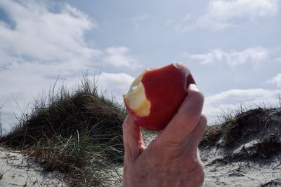 Cropped image of hand holding apple against sky