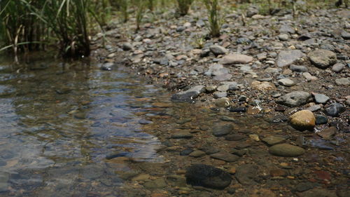 Surface level of water flowing over rocks