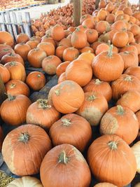 Full frame shot of pumpkins