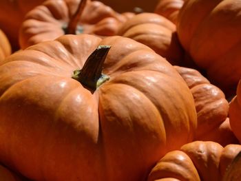 Full frame shot of pumpkins