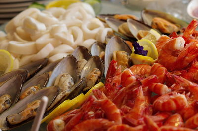 Group seafood have squid mussels shrimp in ice 