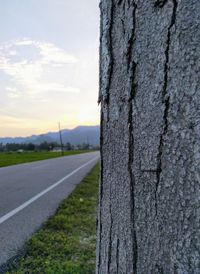 Close-up of tree trunk by road against sky