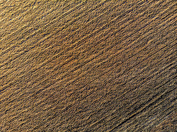 Aerial top view of cultivated agricultural land in sunny spring day