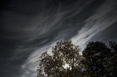 Low angle view of silhouette trees against sky at night