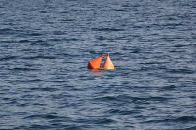 View of fish in sea