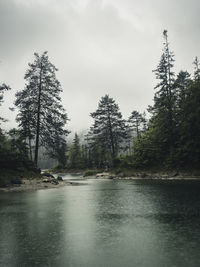 Scenic view of lake in forest against sky