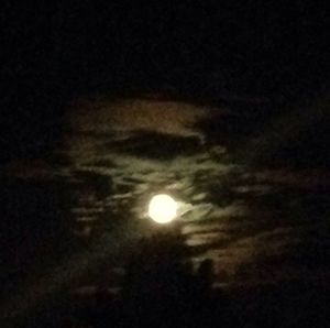 night