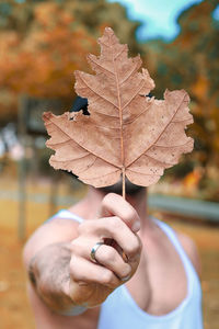 Midsection of person holding maple leaves during autumn